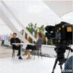 Neosolutions专业摄影服务 捕捉每一刻的珍贵回忆
